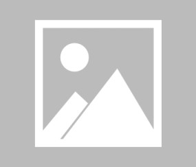 hupu-靠防反轻取美国 有“夺冠计划”的荷兰终于露出真身